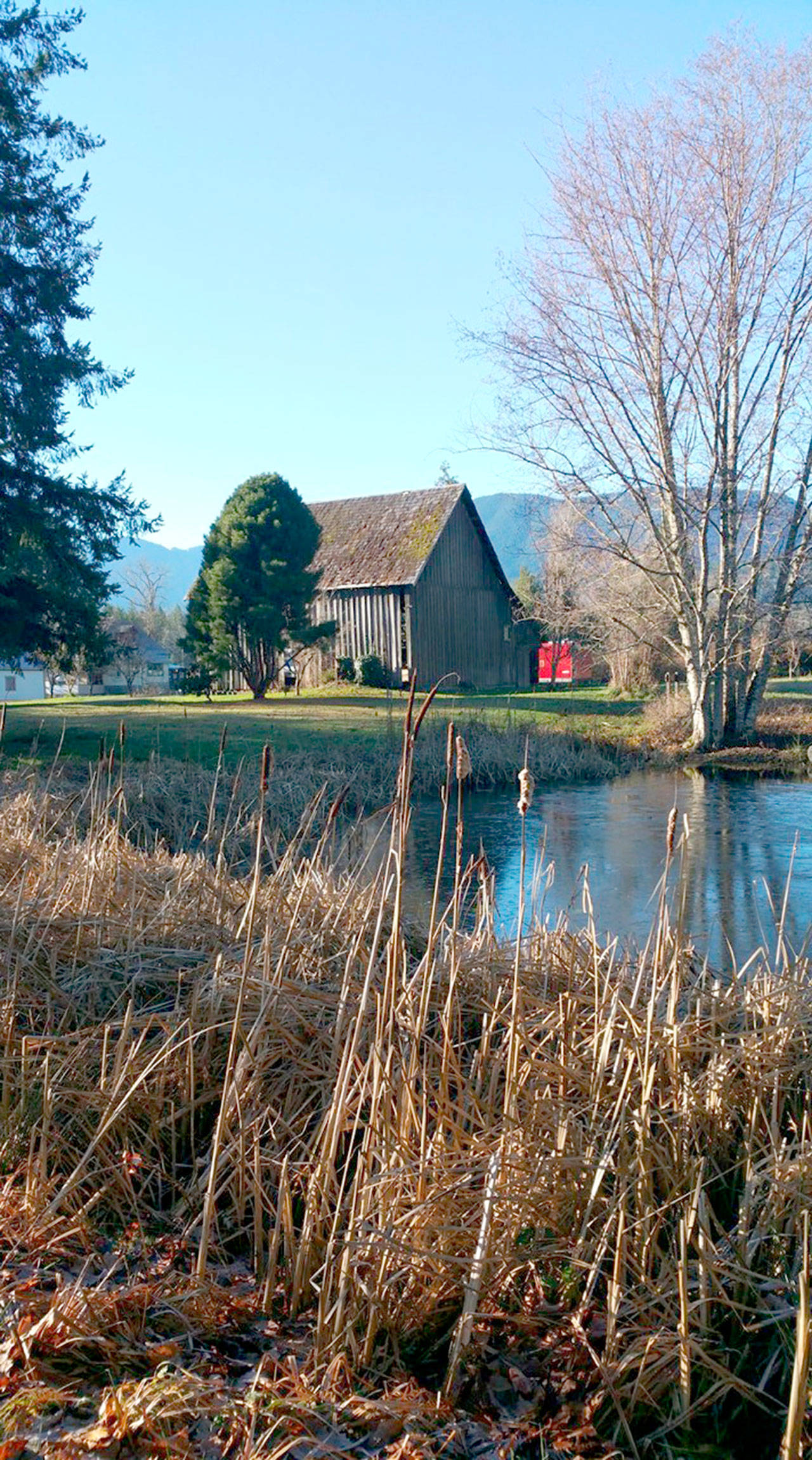 The Worthington Park grounds in Quilcene will be the venue for the first half of the Halloween Harvest Festival on Wednesday.
