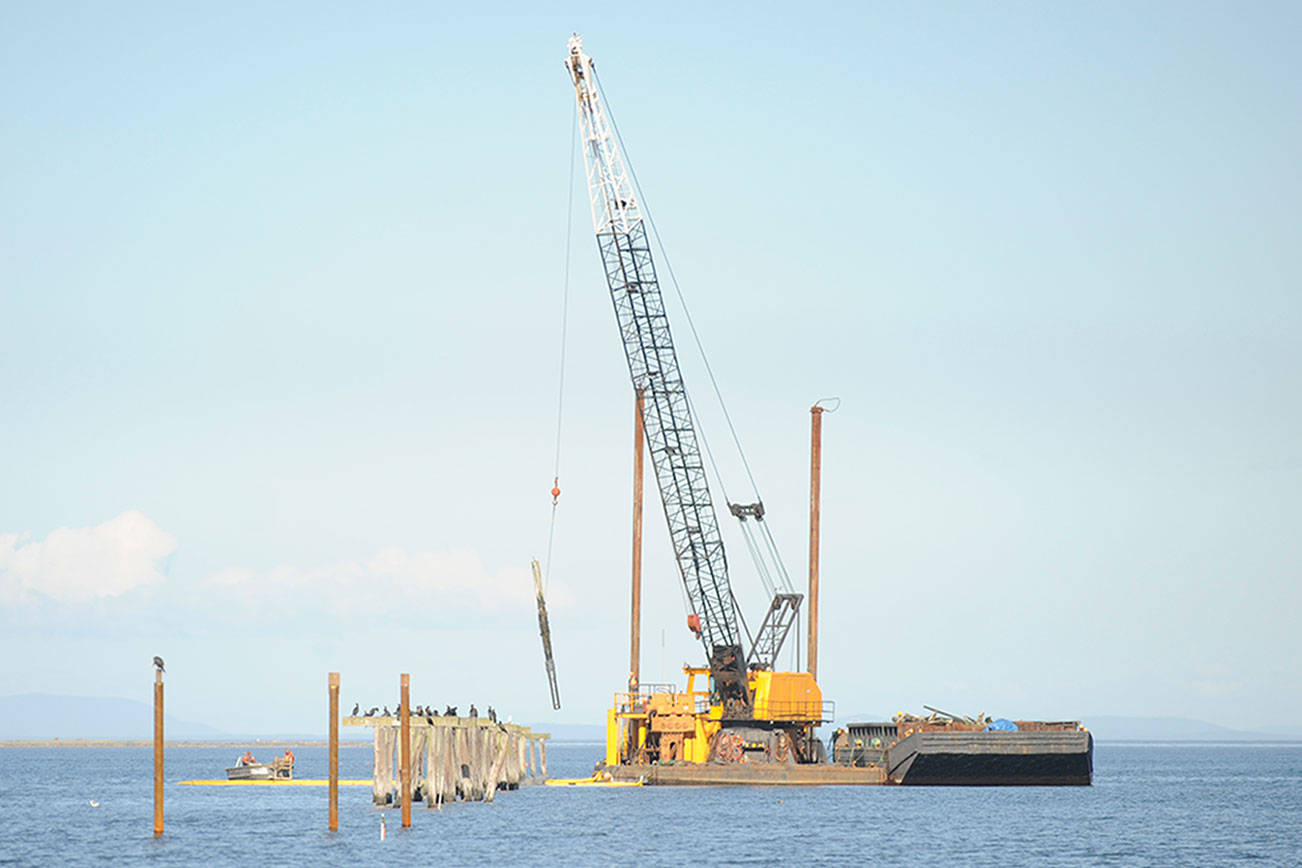 Makeover in Dungeness: Pilings from old wharf removed for habitat improvements