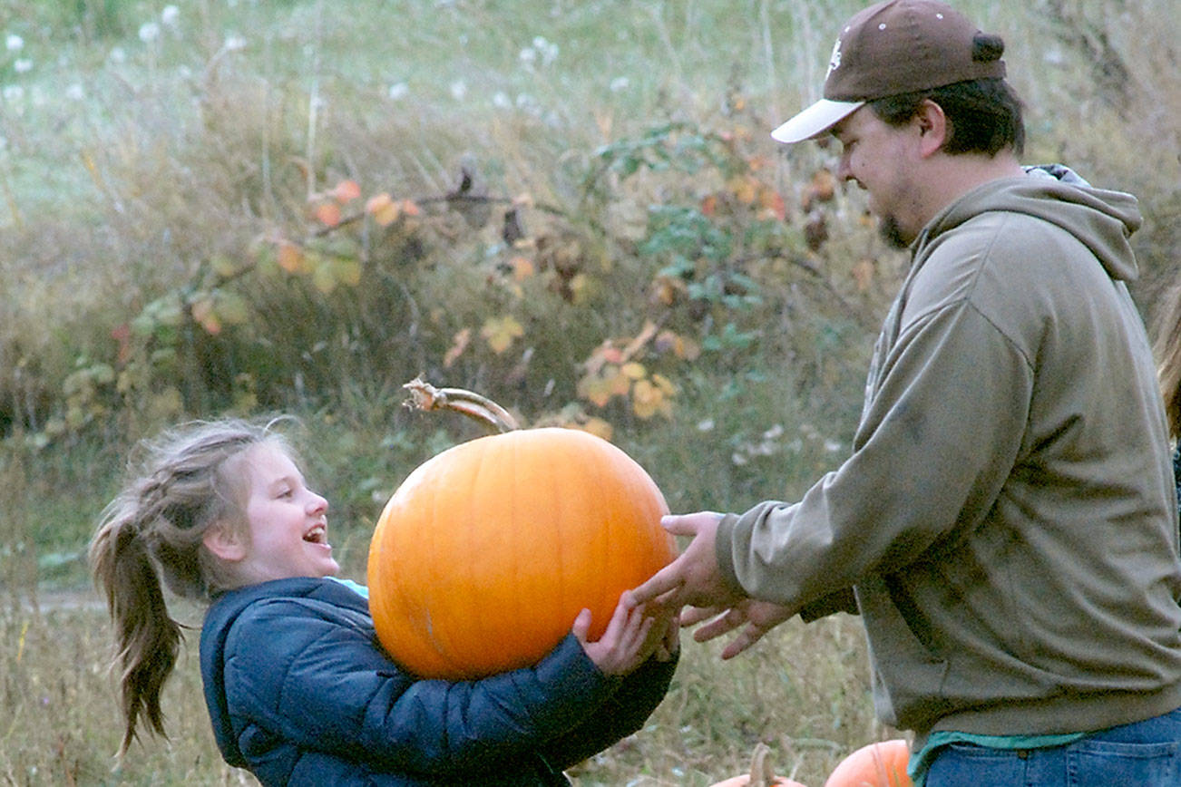 PHOTO: Time for Peninsula pumpkins