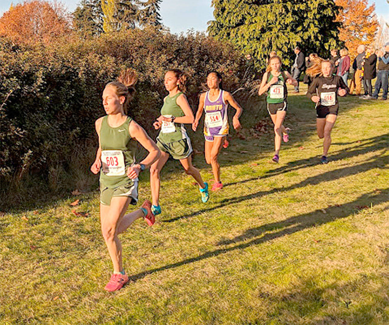 The Port Angeles girls won the Olympic League Cross Country meet last week in Port Townsend and they went on to win at the 2A District III Cross Country Meet in University Place Saturday. At left is race winner Lauren Larson and second from left is her teammate Kynzie DeLeon.