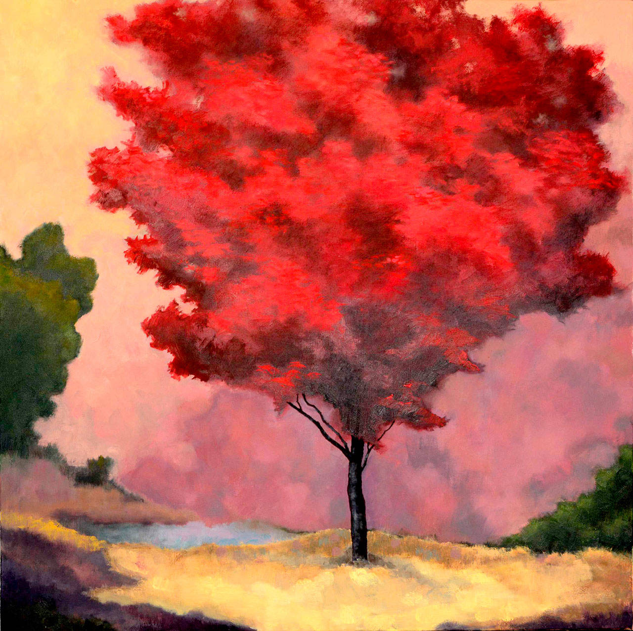 Robert Amaral’s landscape paintings will be on view at Studio Bob beginning Saturday.