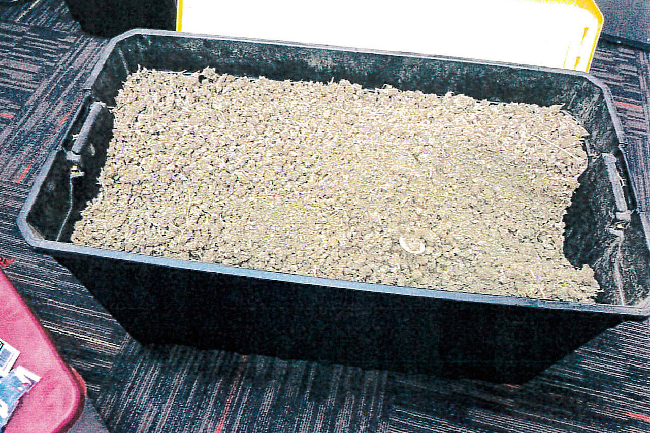 The Lower Elwha Klallam Tribal Police Department seized a tote filled with marijuana during a DUI arrest in September. The arrest led to the state Liquor and Cannabis Board suspending North Coast Concentrates’ two licenses for selling marijuana on the black market. (Washington State Liquor and Cannabis Board)