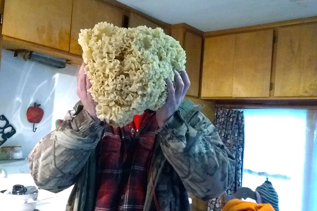 WEST END NEIGHBOR: Mushroom season is fading out