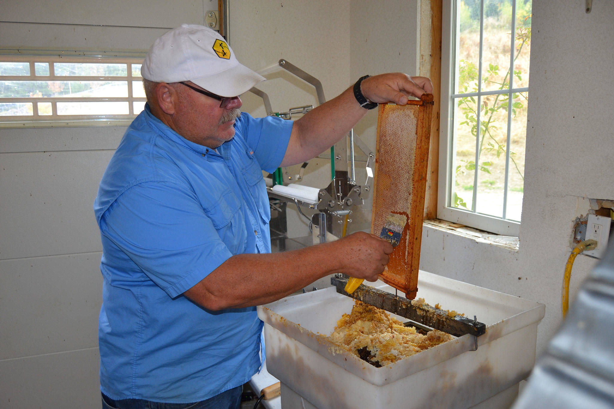 Removing caps by hand takes a lot of time, said Buddy DePew, co-owner of Sequim Bee Farm. If the farm wins $20,000 in the Kitsap Bank edg3 FUND contest, the funds will go toward automating the process. (Matthew Nash/Olympic Peninsula News Group)