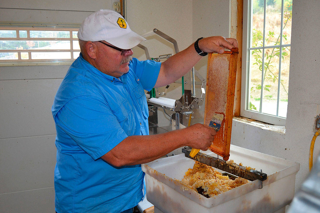 Sequim Bee Farm up again for Kitsap Bank award