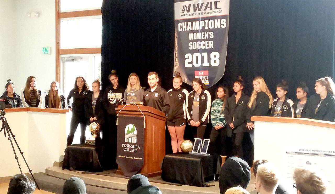 AREA SPORTS BRIEFS: State football schedule information; Volleyball tryouts Sunday in PA; Green and White Day on Nov. 24