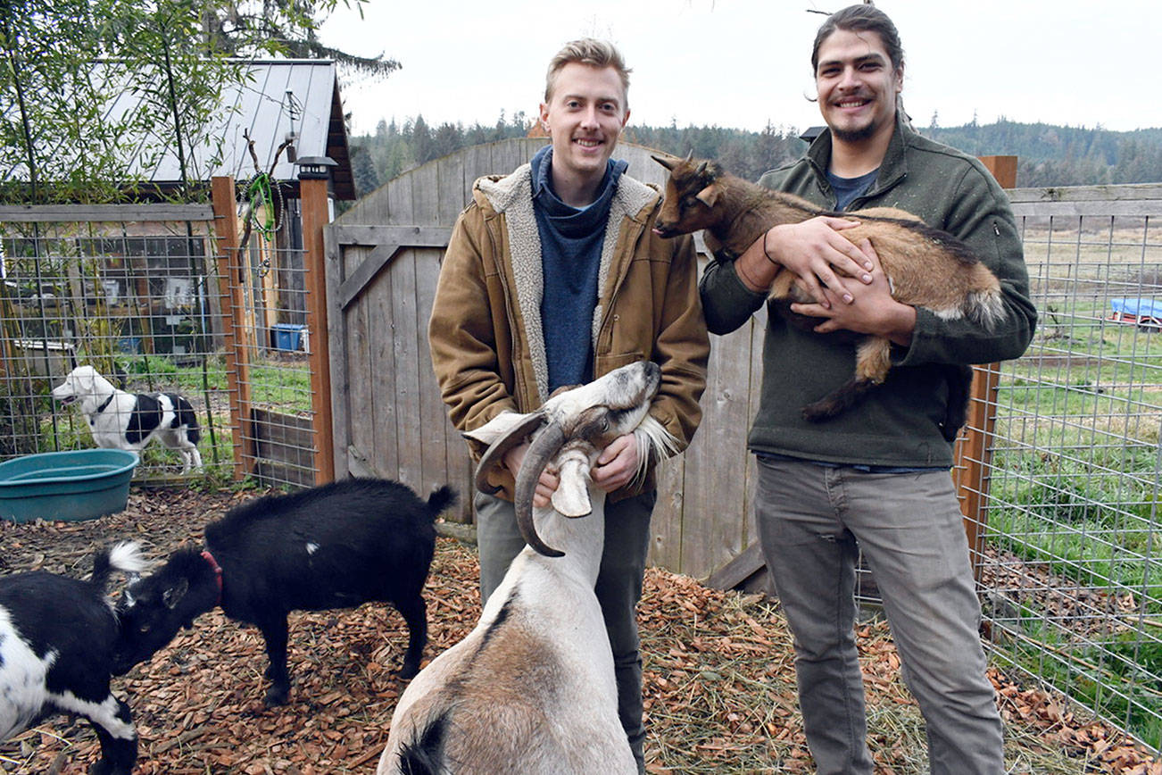 Chimacum’s Kodama Farm and Food Forest finalist in contest