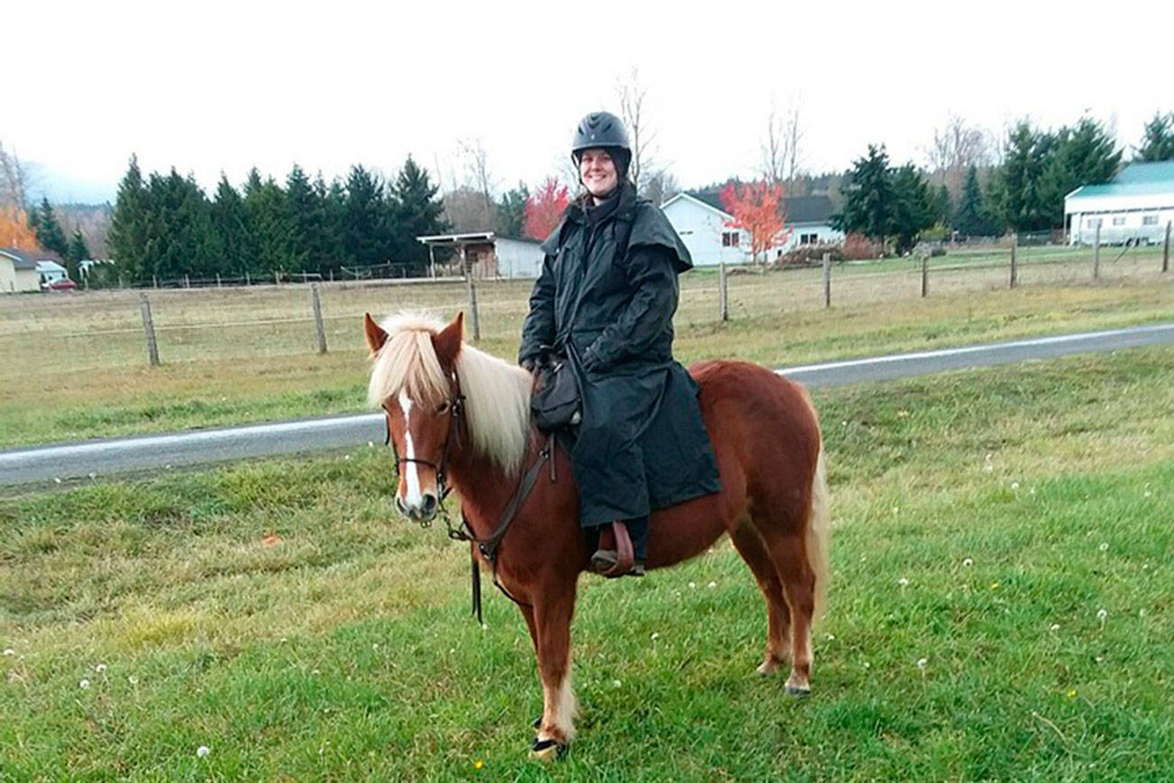 HORSEPLAY: Group helps challenge riders to hitch up in winter