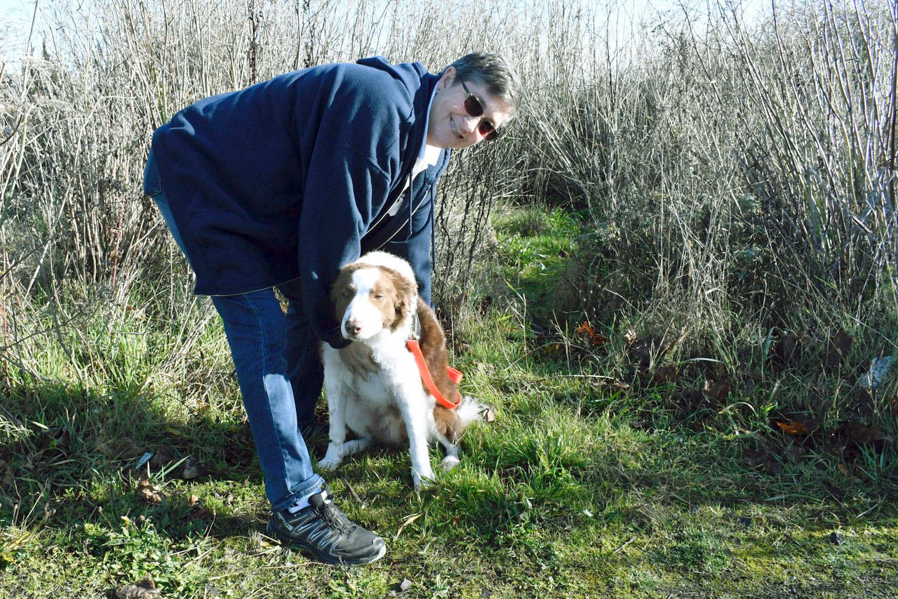 Lynne Angeloro and her specially trained search dog Berkeley will be working in California beginning next month to help find cremains in the area of the Camp Fire. She said her organization, the Institute for Canine Forensics, has been asked by more than 100 families to recover cremated remains that were left behind as people fled the flames. She and her colleagues will be searching into mid-January. (Jeannie McMacken/Peninsula Daily News)