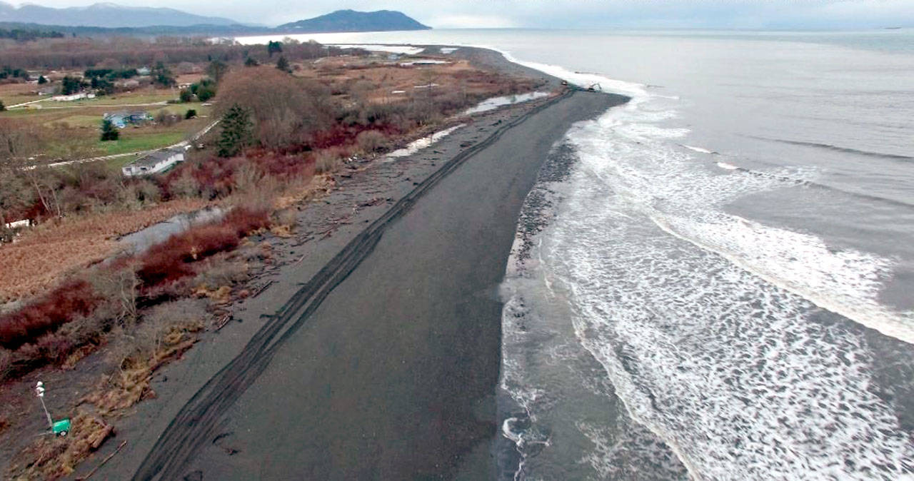 The public can view the Beach Lake Conservation Area on Saturday. (Anne Shaffer/Coastal Watershed Institute)
