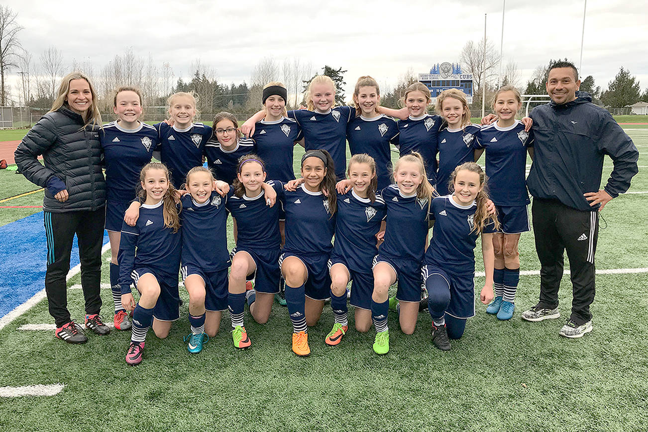 AREA SPORTS BRIEF: Volleyball players honored by state coaches; Storm King girls win league title; Twisters gymnasts flip