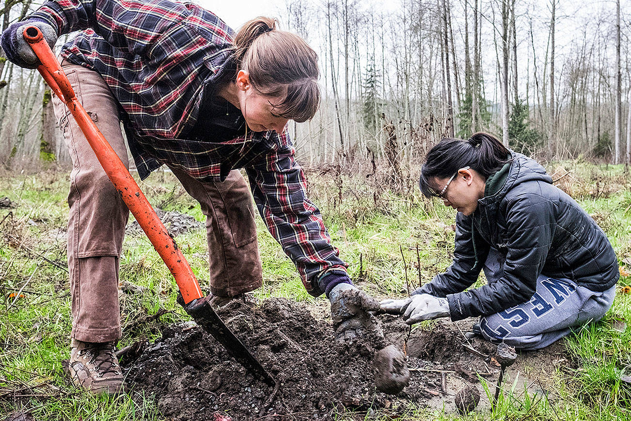 Improve river habitat with tree-planting trip
