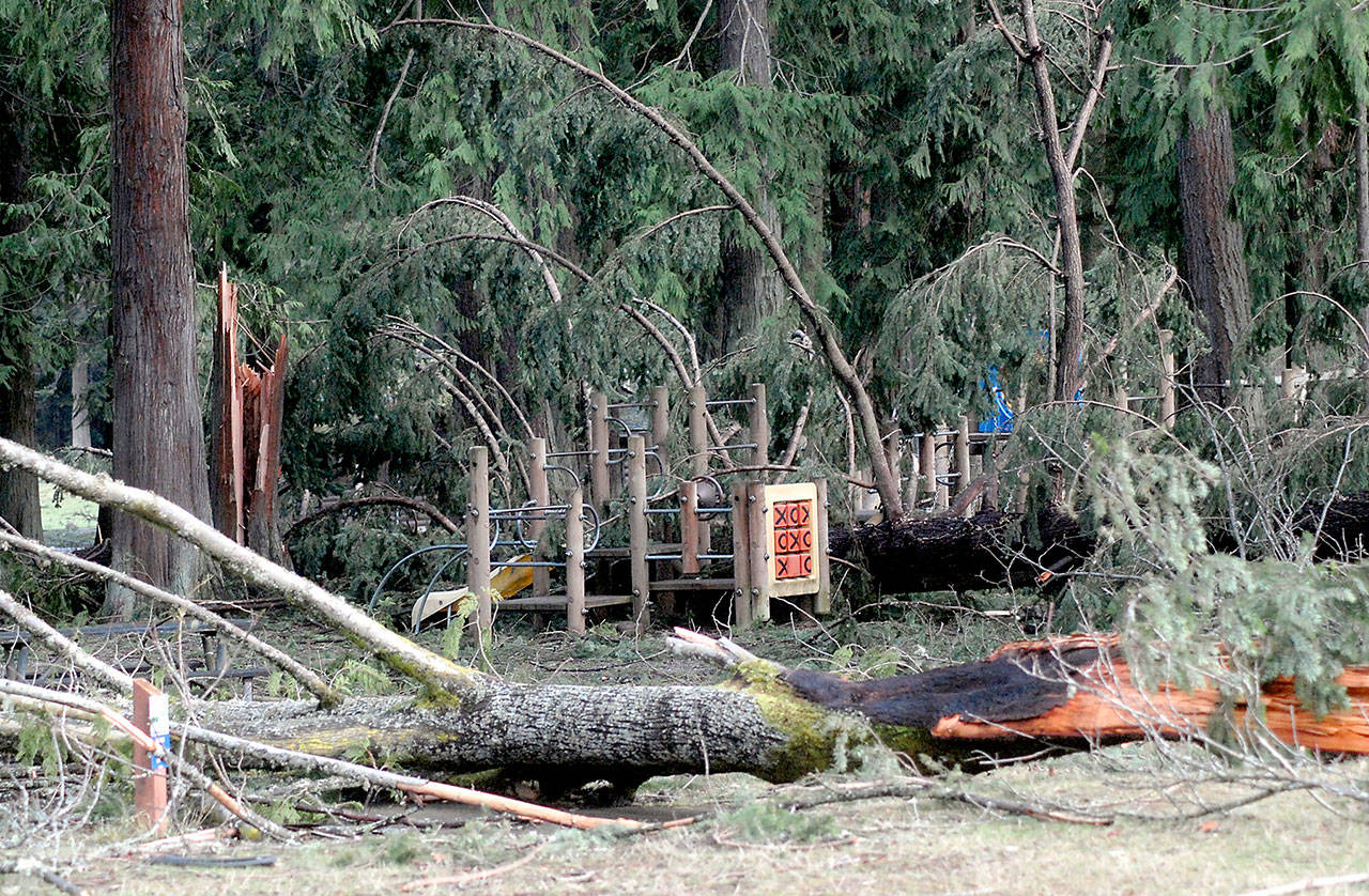 A fallen tree lies across crushed playground equipment as shattered tree limbs litter the ground at Lincoln Park in Port Angeles. A windstorm Dec. 14 did extensive damage to the park, forcing its closure. (Keith Thorpe/Peninsula Daily News)