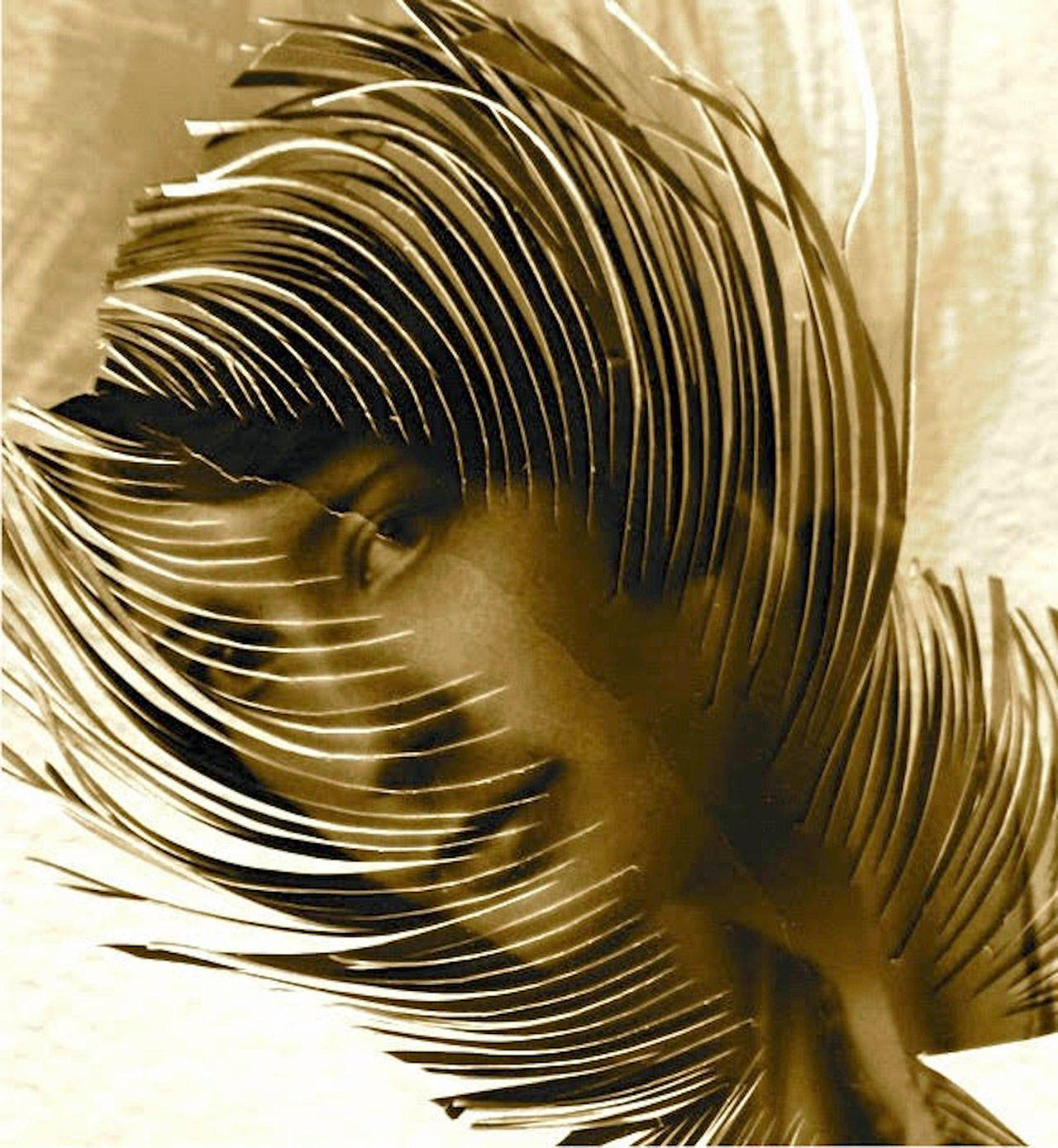 English-Sri Lankan artist Miriam Omura’s photos cut into feather shapes are part of “Material as Metaphor,” the show at the Port Angeles Fine Arts Center. The artists’ reception is this Saturday evening.