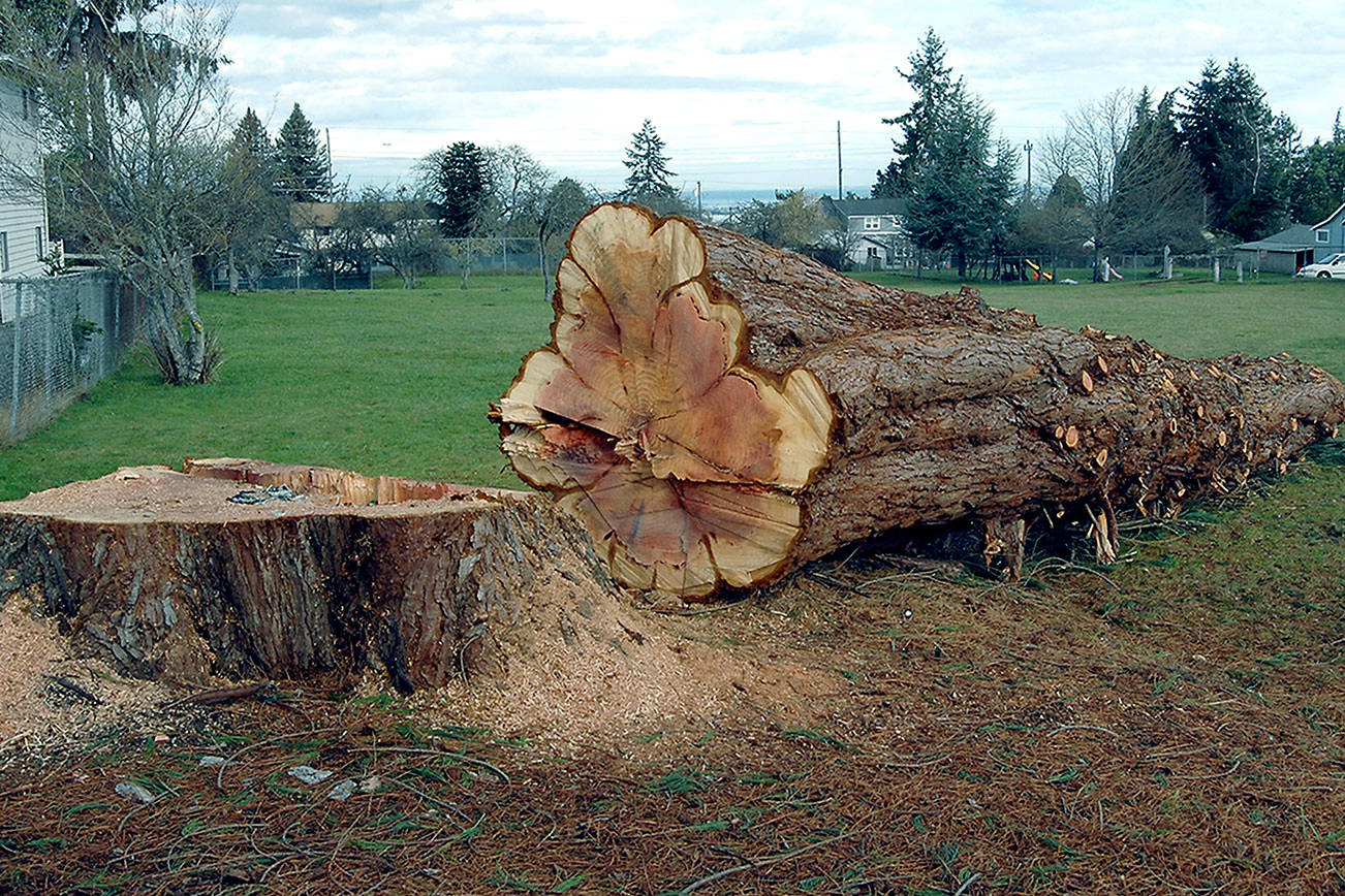 Speakers set for Lions Park celebration on MLK Day
