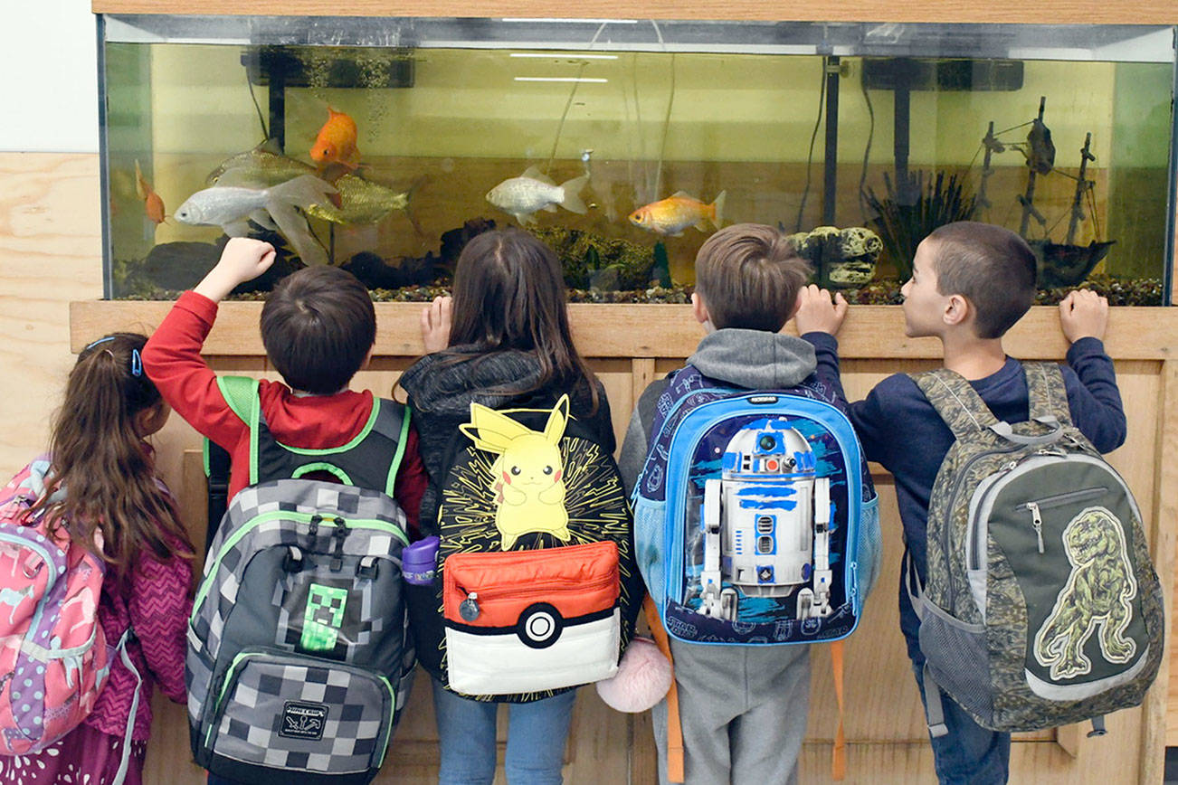 Dedication ceremony, tours of Salish Coast Elementary School planned Saturday