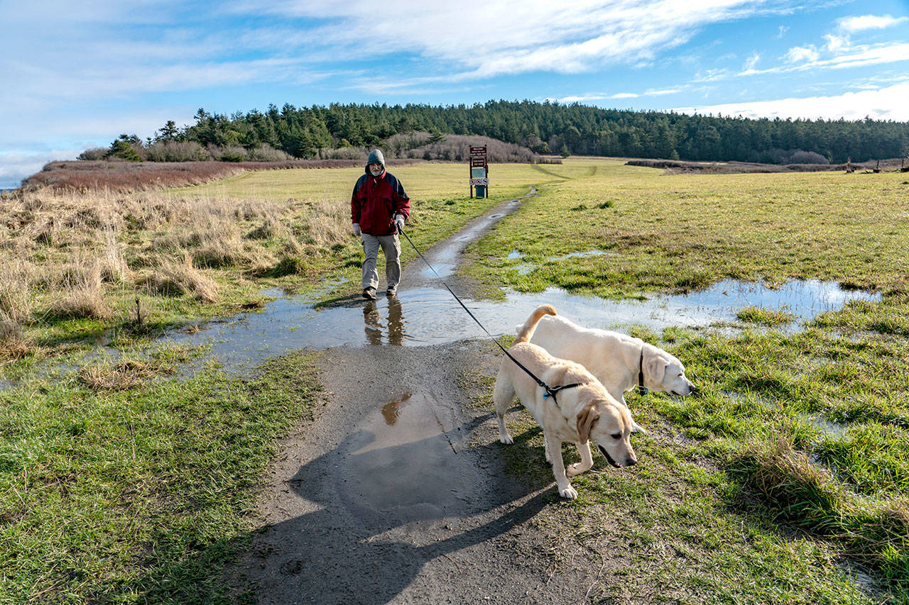 Steve Mullensky/for Peninsula Daily News