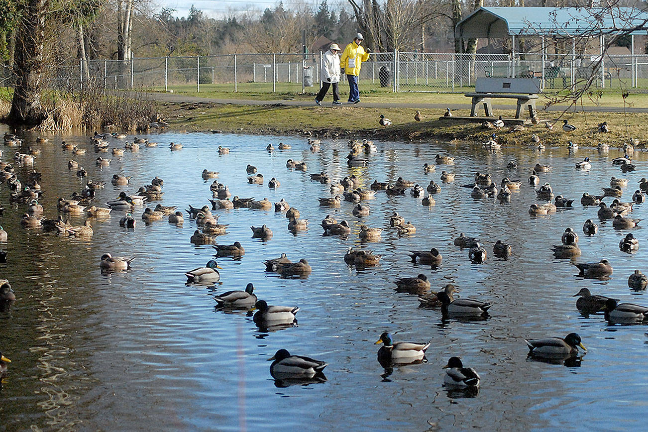 PHOTO: Duck-billed pond