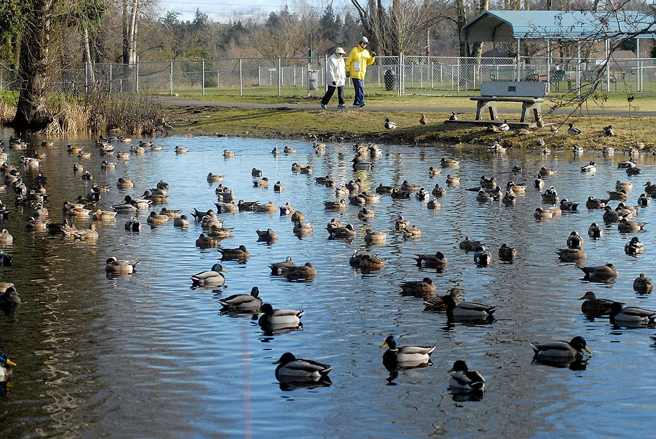 Keith Thorpe/Peninsula Daily News