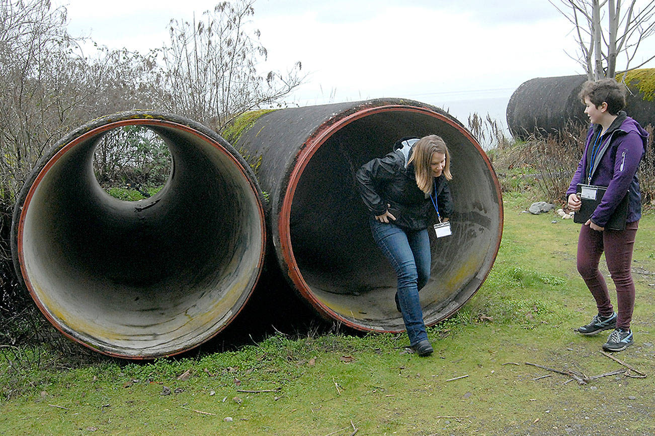 Volunteers seek homeless people during Point in Time Count