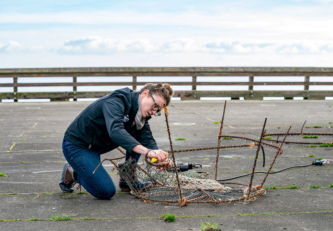 Steve Mullensky/for Peninsula Daily News