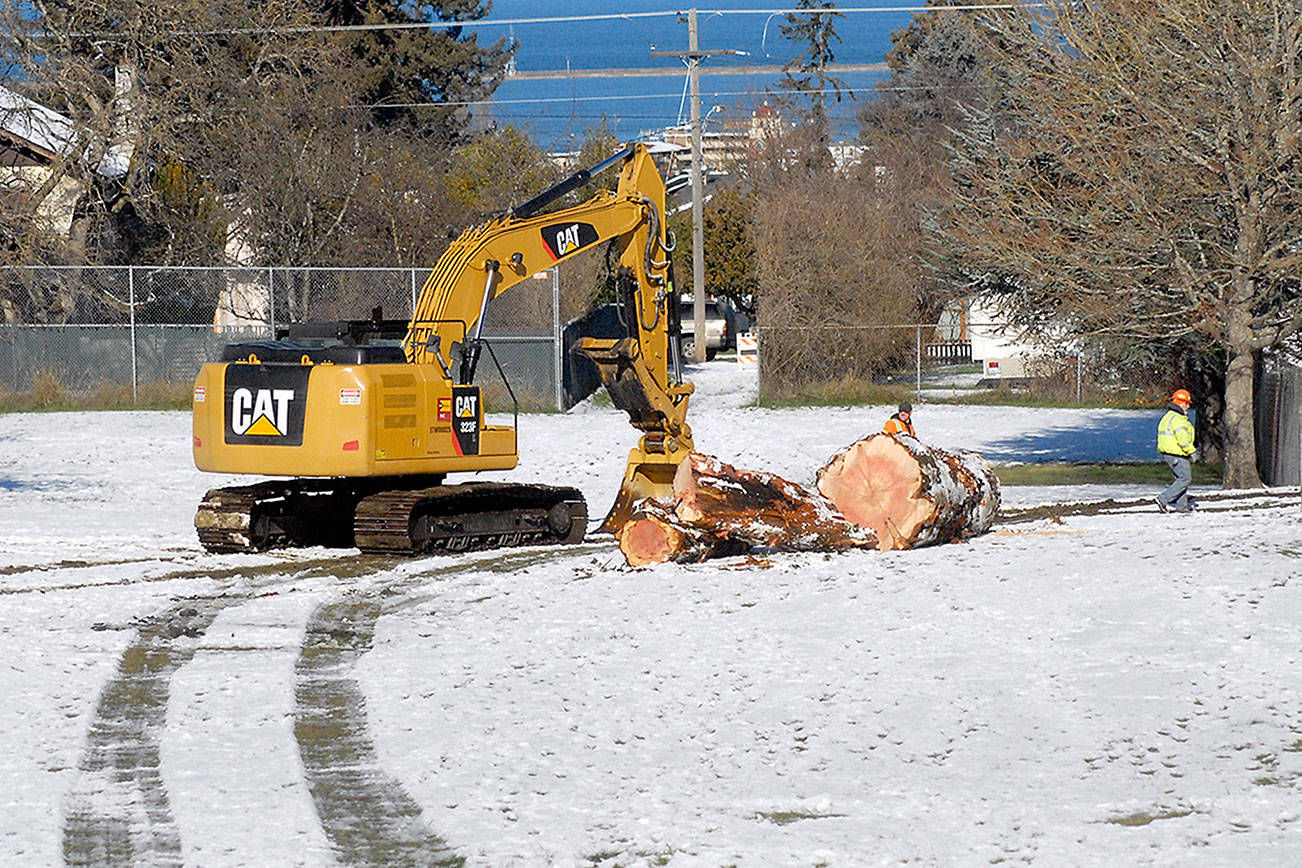 PHOTO: Sequoia tree named ‘Hope’ is removed from Port Angeles park