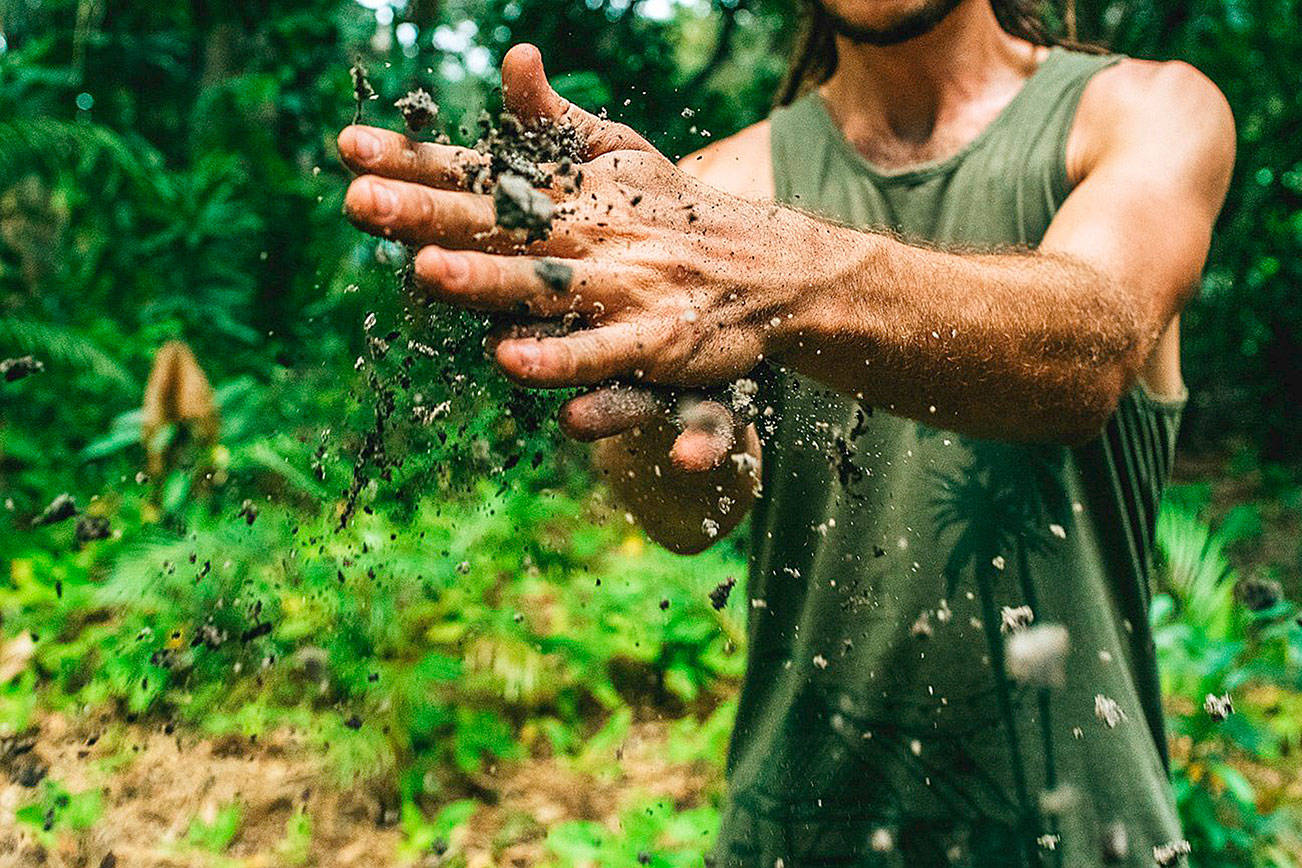 Peninsula libraries to host composter, recycler workshops
