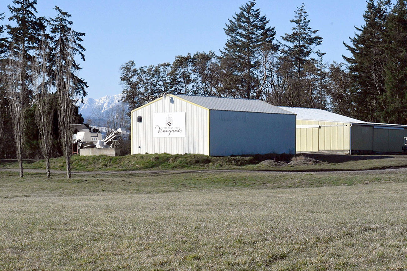 Port Townsend plan seeks to encourage small-scale business