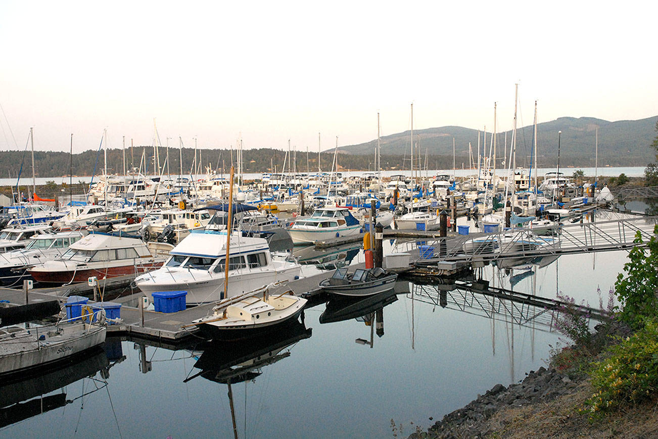 Wayne family gathers options for marina, nearby land
