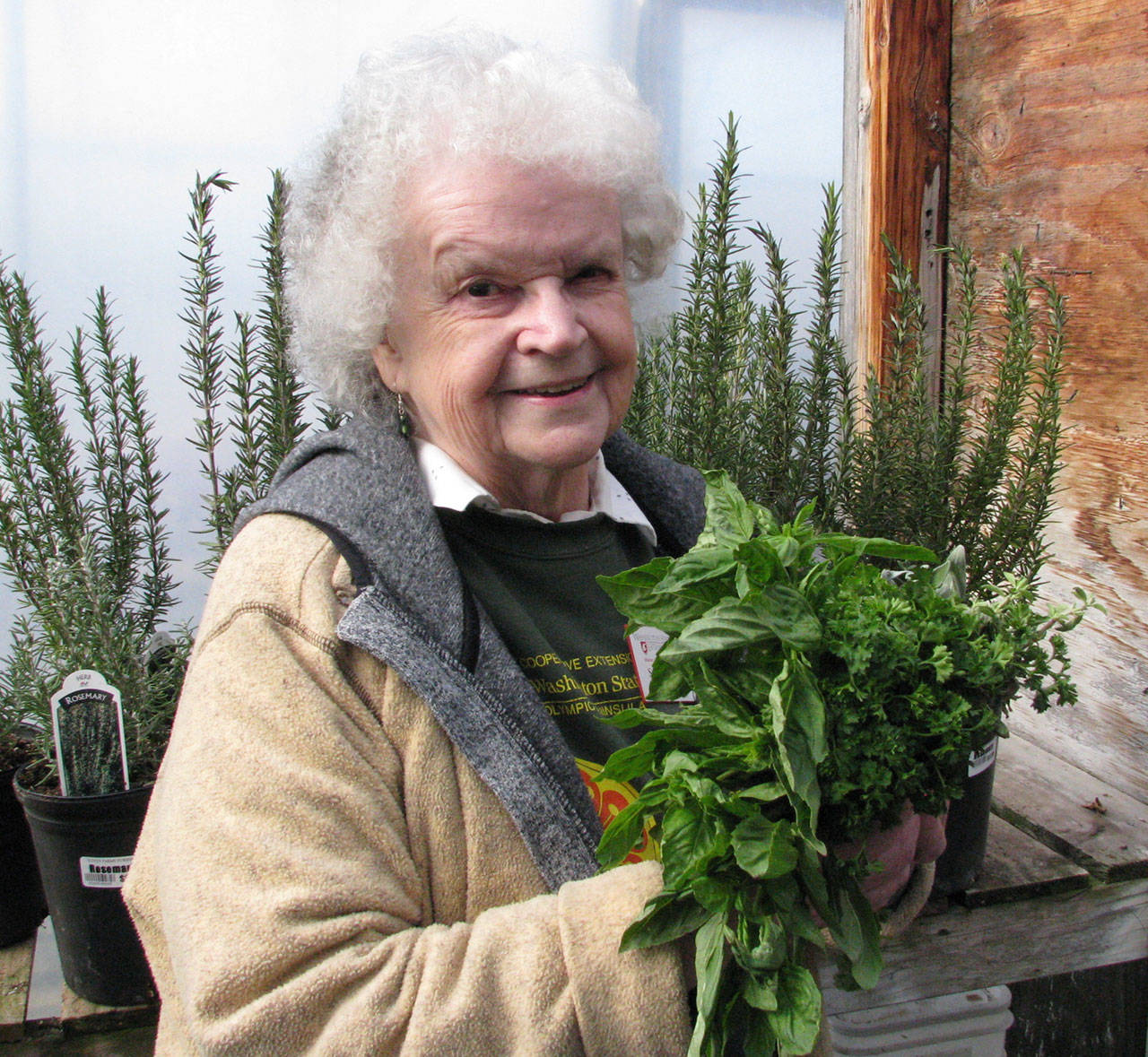 Veteran Master Gardener Sally Tysver will present ideas for growing, harvesting, storing and cooking with common culinary herbs at noon Thursday. (Amanda Rosenberg)