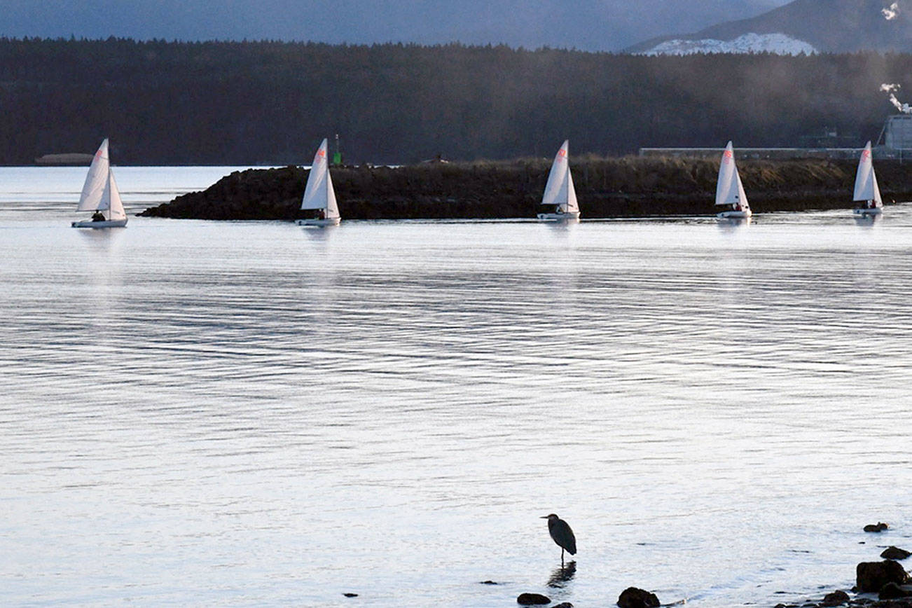 PHOTO: Boats all in a row in Port Townsend Bay