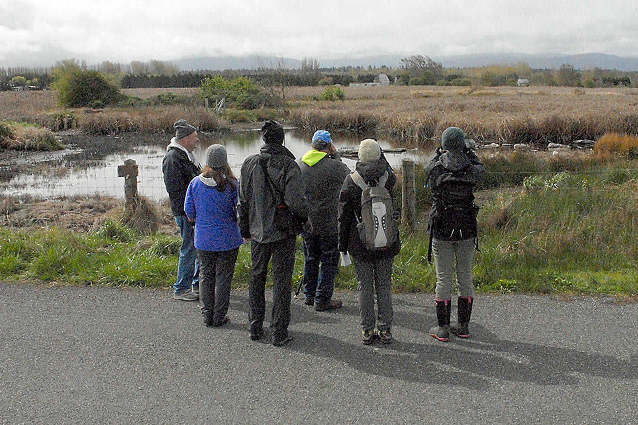 Registration still open for many BirdFest activities