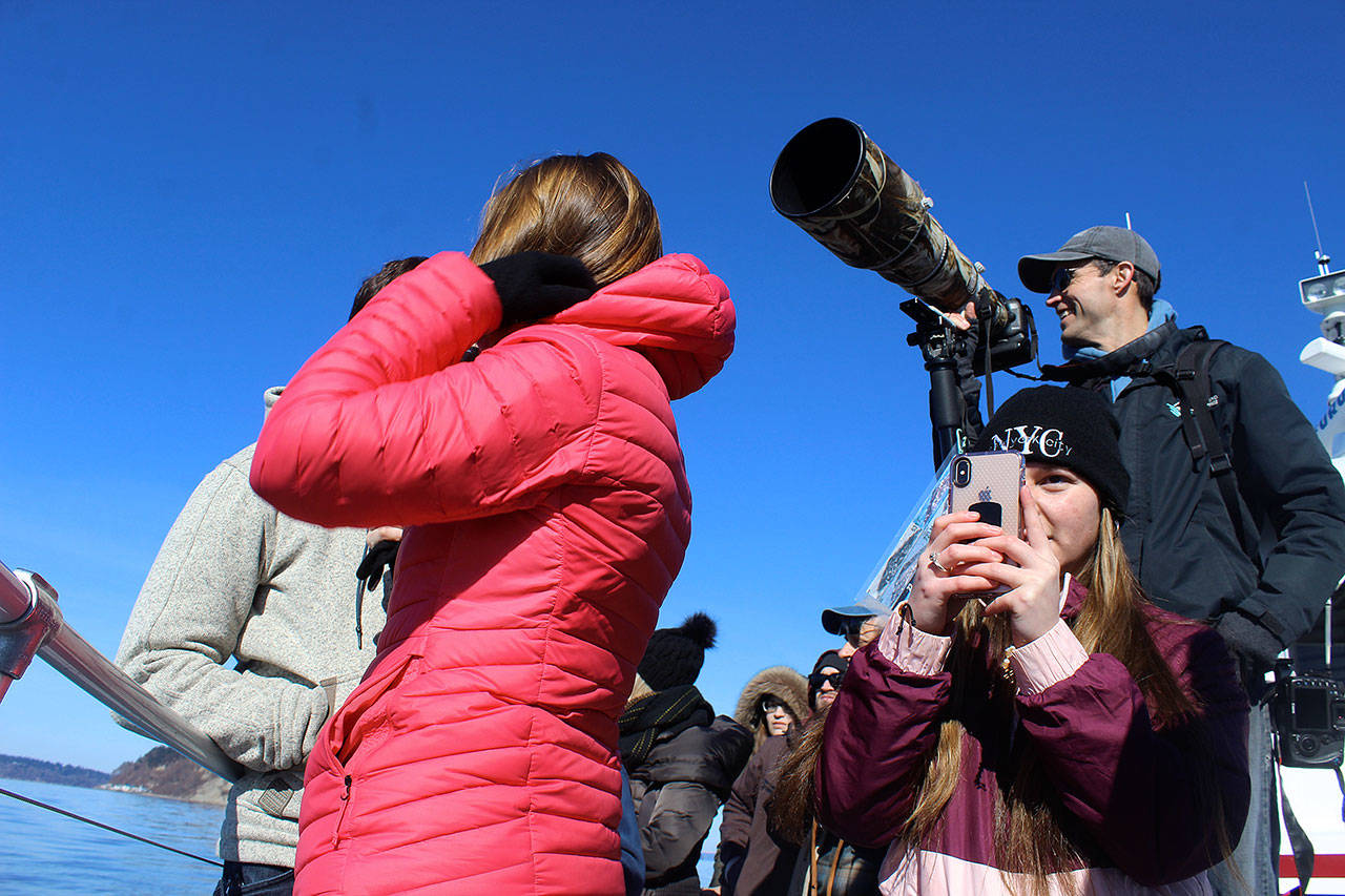 It’s not hard to spot naturalist and photographer Bart Rulon as he leads wildlife and whale tours with Puget Sound Express. (Patricia Guthrie/Whidbey News Group)