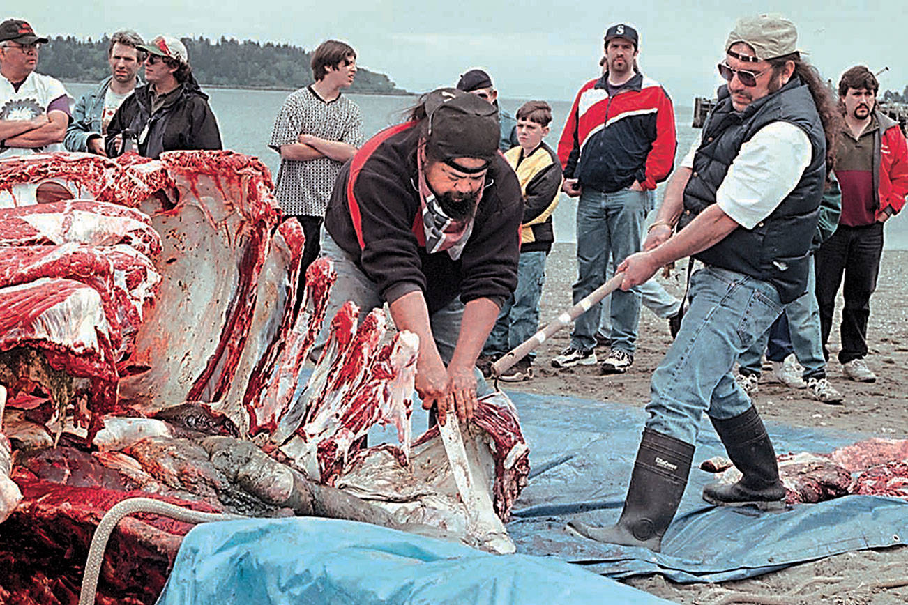 US proposes plan for Makah Tribe to resume whale hunts