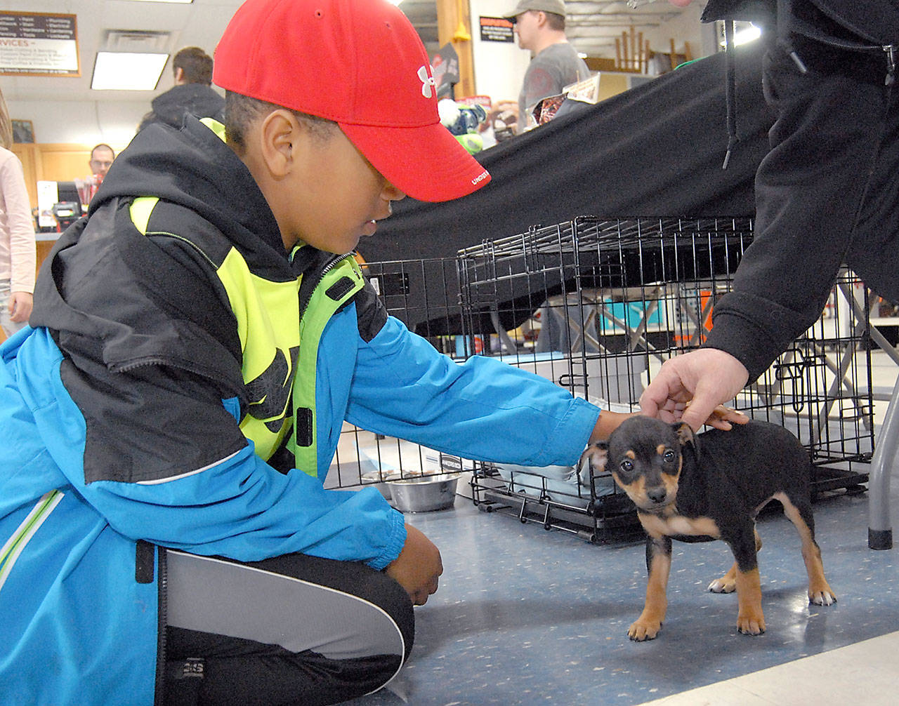 Keith Thorpe/Peninsula Daily News