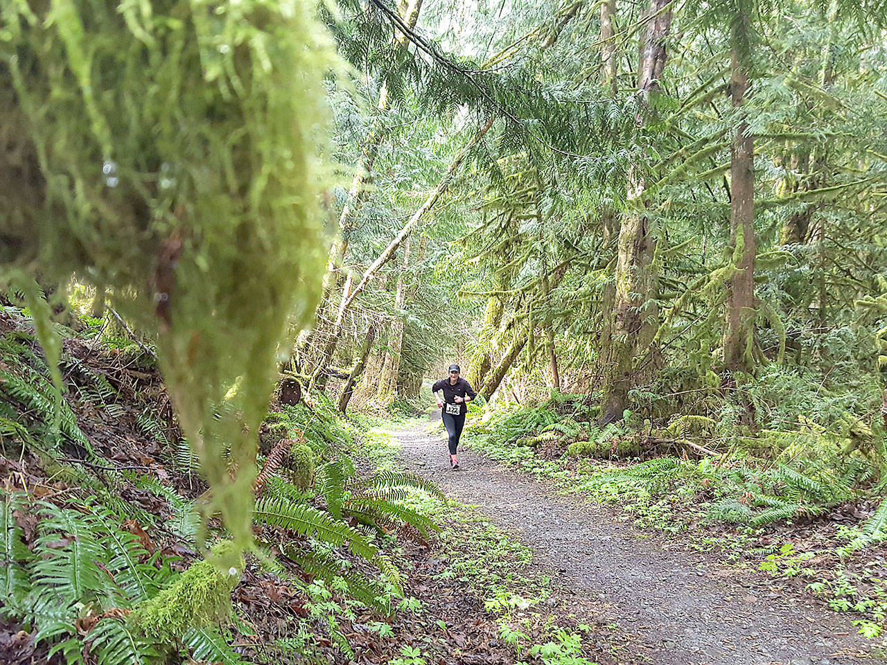 Iris Winslow A competitor in the Frosty Moss race runs through the forest as part of the 80-mile race. Three- and five-member teams ran in legs of three to 10 miles from the Sol Duc Valley to Blyn on Saturday.
