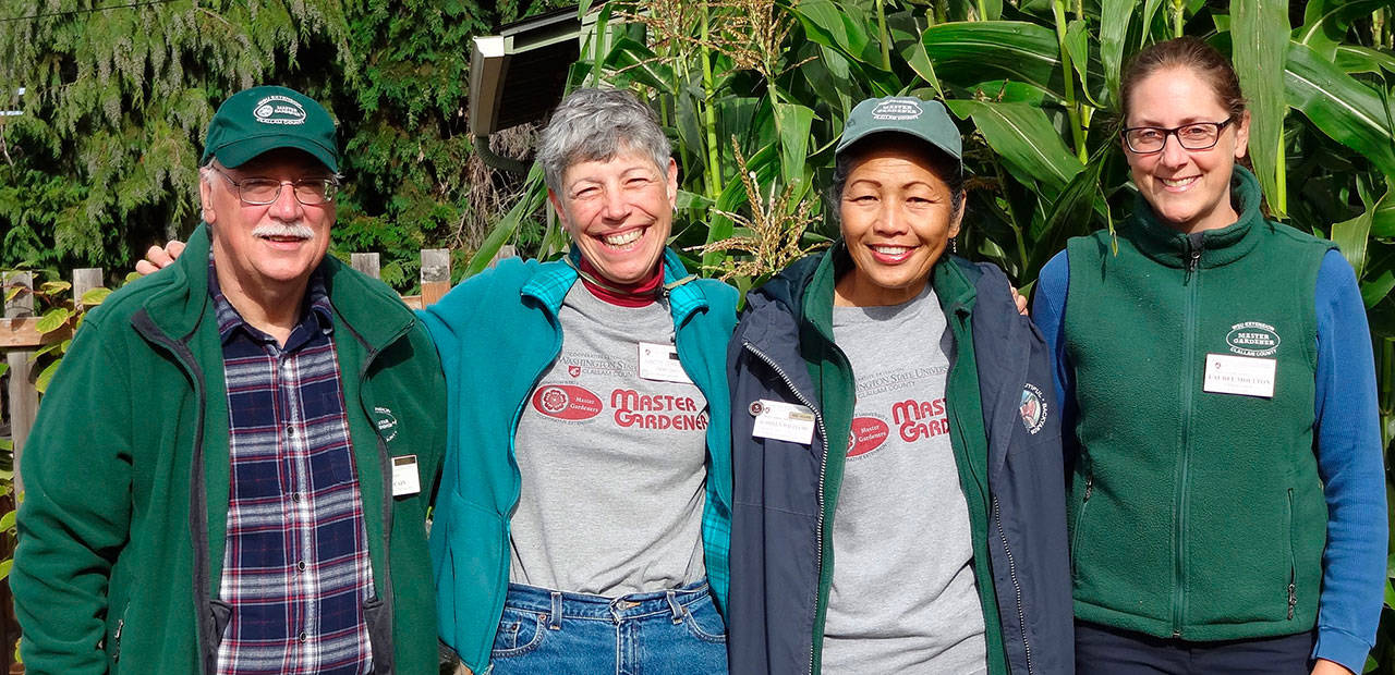 Bob Cain, Jeanette Stehr-Green, Audreen Williams and Laurel Moulton will lead a walk through the Fifth Street Community Garden, 328 E. Fifth St., Port Angeles, at 10 a.m. Saturday.