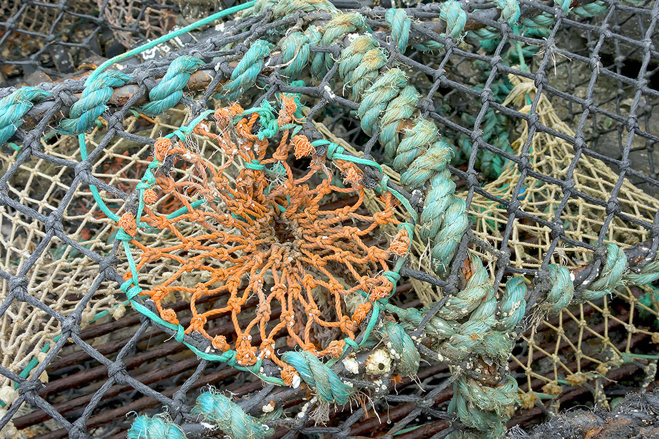 Photographers highlighted on Second Saturday Art Walk