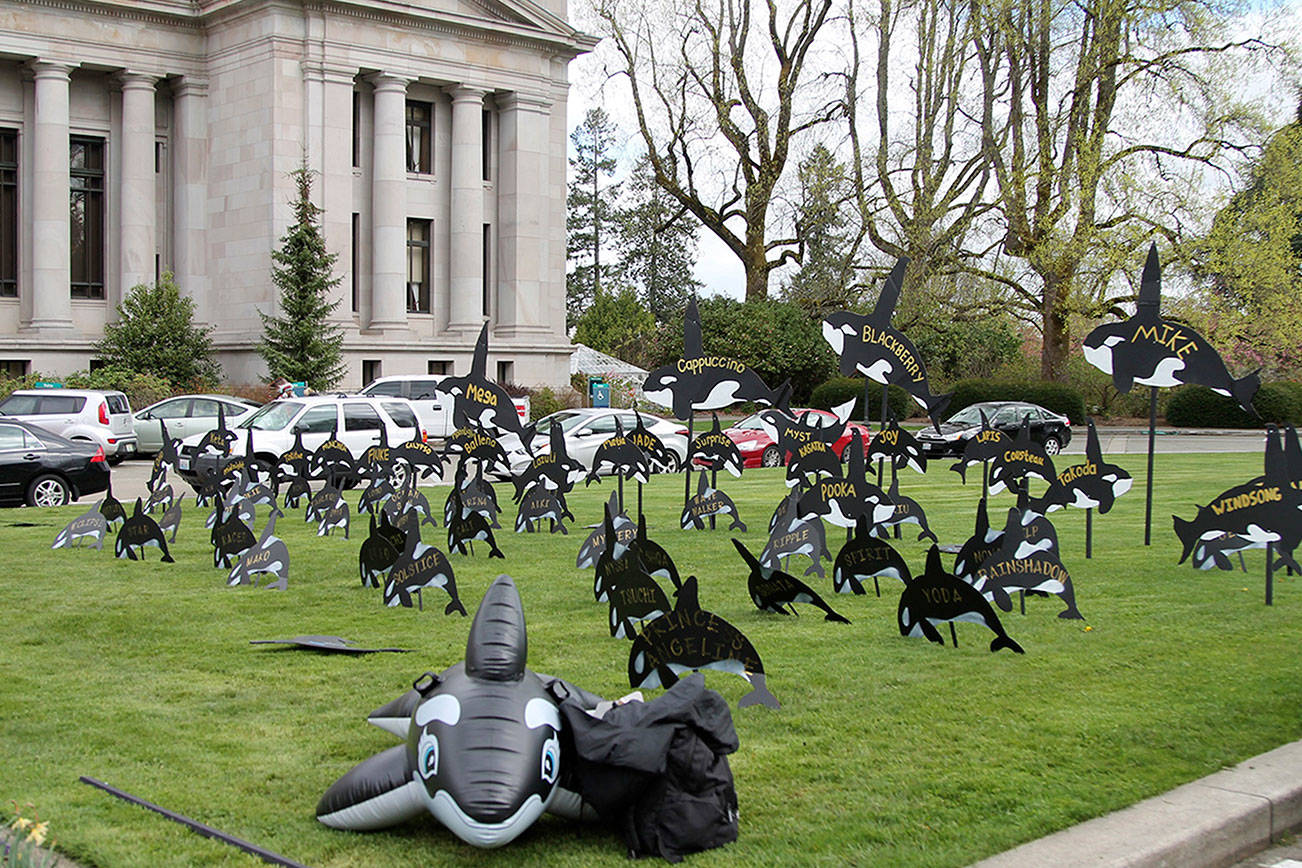 Activists rally for woman on hunger strike to draw attention to plight of orcas