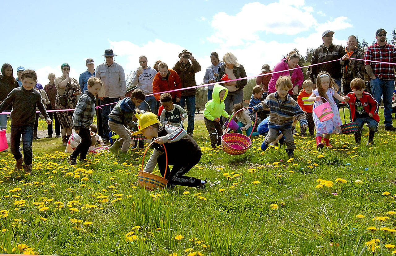 Children hunt for Easter eggs hidden among the dandelions during Saturday’s egg hunt at the Pumpkin Patch west of Sequim. Hundreds of children took part in the event, which also featured pony rides, face painting, a bounce house and hay rides around the property. (Keith Thorpe/Peninsula Daily News)