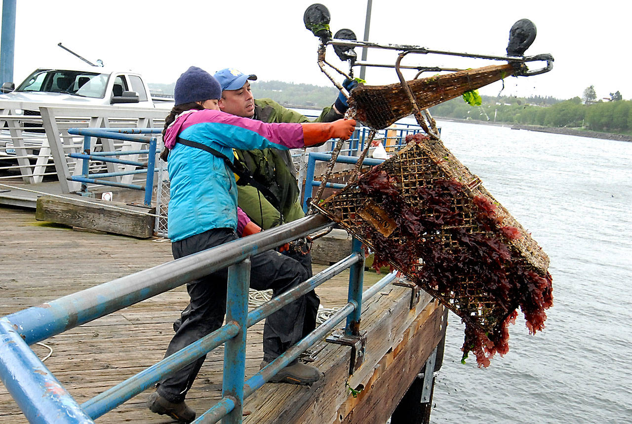 Keith Thorpe/Peninsula Daily News