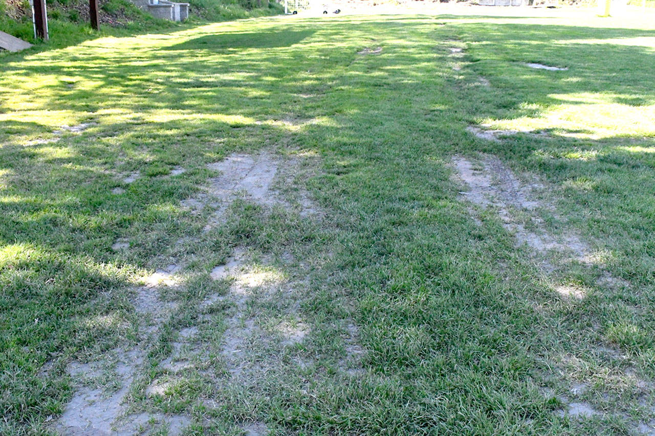 The south end of Memorial Field in Port Townsend suffered vehicle damage last week during a tree-removal project. This has raised concerns about the viability of the location for the Rhododendron Festival’s Funtastic carnival. (Jeannie McMacken/Peninsula Daily News)