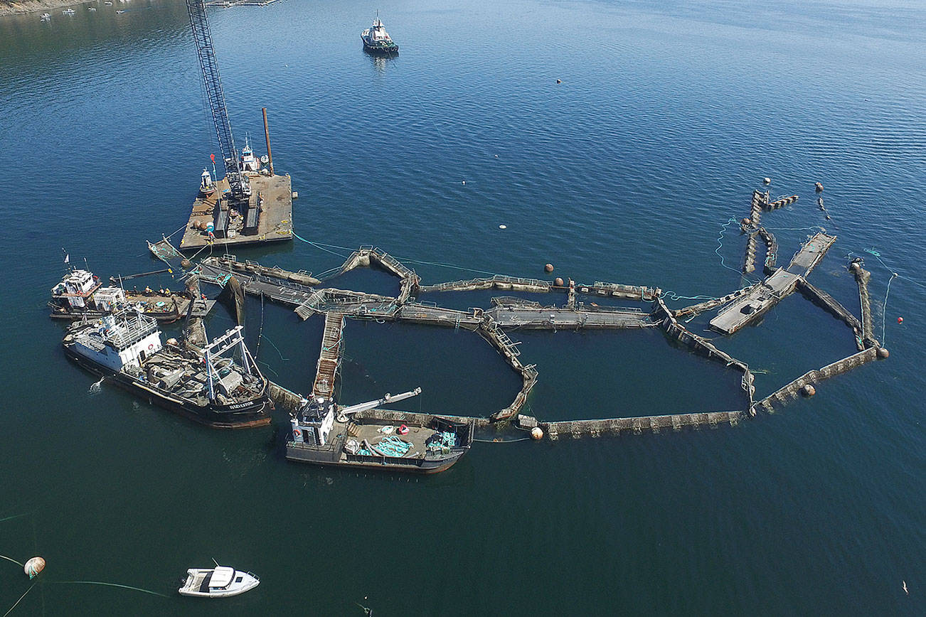 Fish farm to pay fine imposed by state