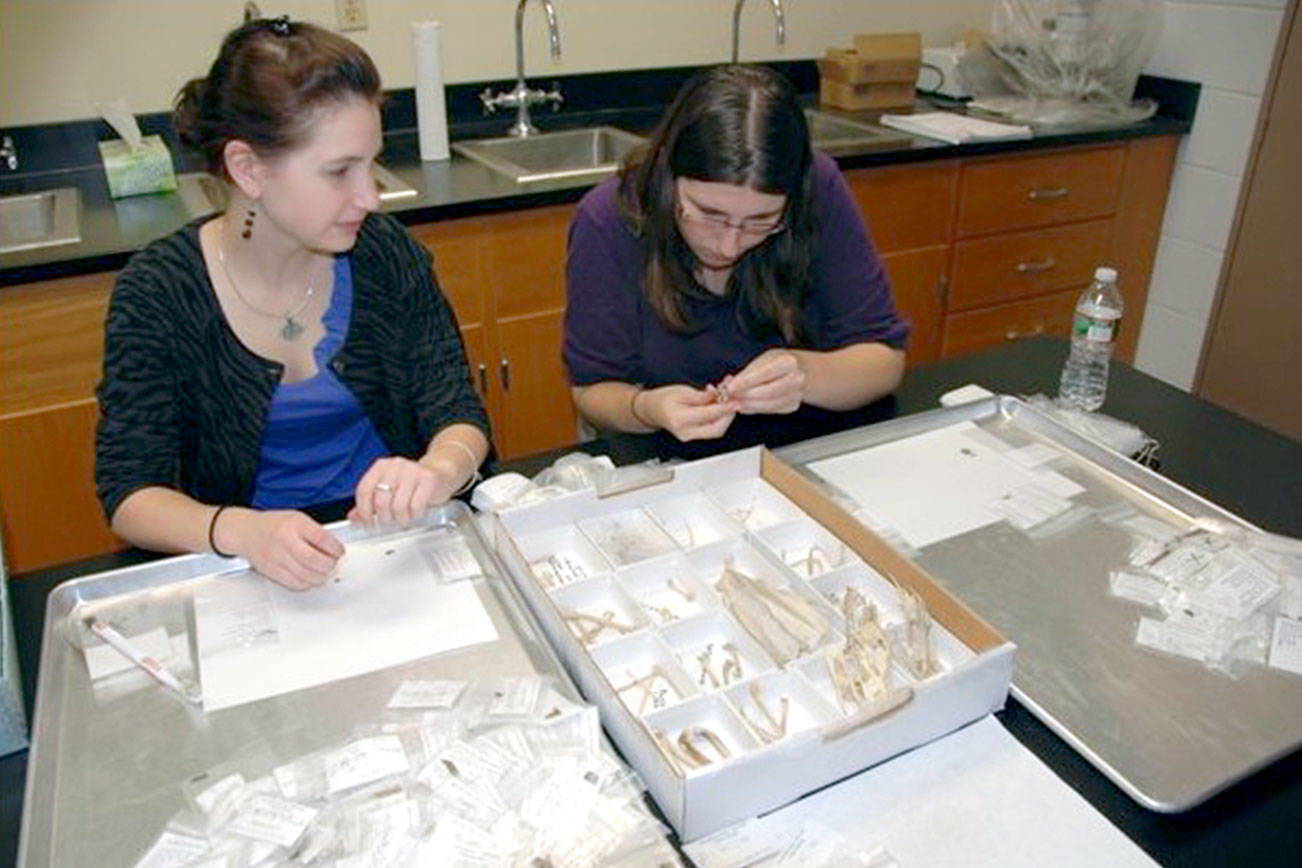 Study: Tsunamis battered tribal village