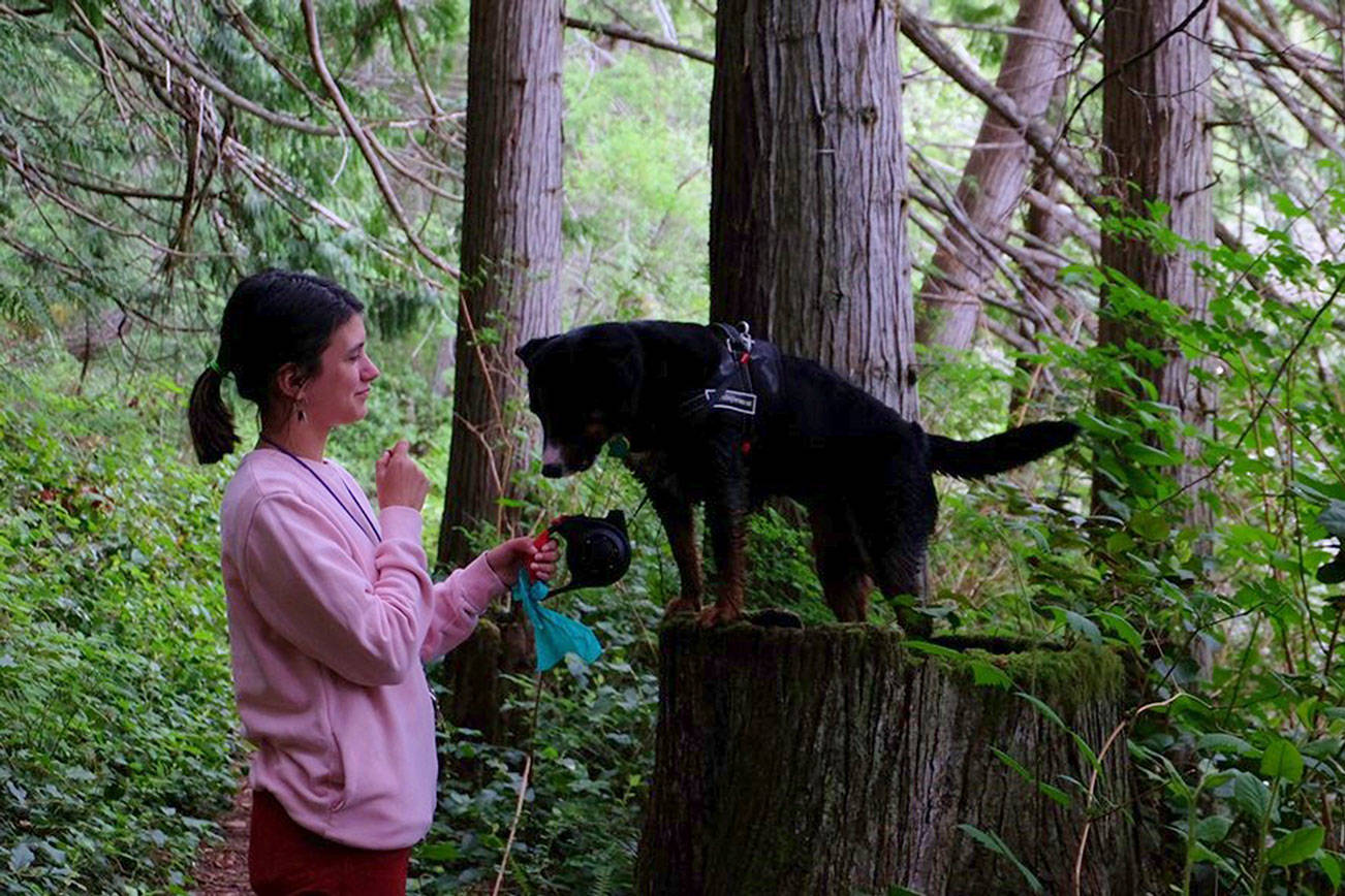 Dog dies after exposure to toxin at Anderson Lake