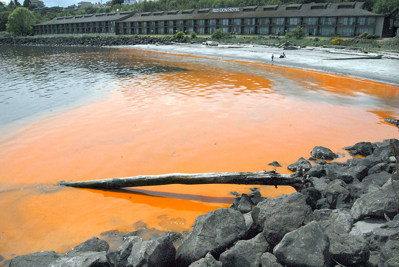 Keith Thorpe/Peninsula Daily News