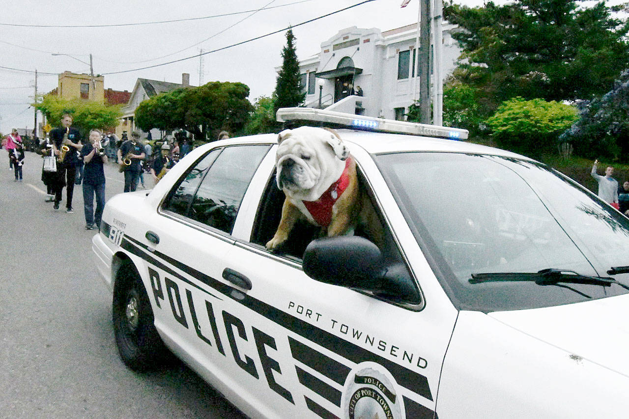 The Port Townsend Rhododendron Festival Pet Parade featured a variety of creatures Thursday. The Grand Parade begins at 1 p.m. Saturday. (Jeanne McMacken/Peninsula Daily News)