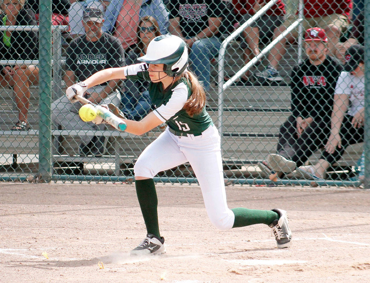 Emi Halberg of Port Angeles bunts during the 2A state softball tournament in Selah. (Mark Krulish/Kitsap News Group)