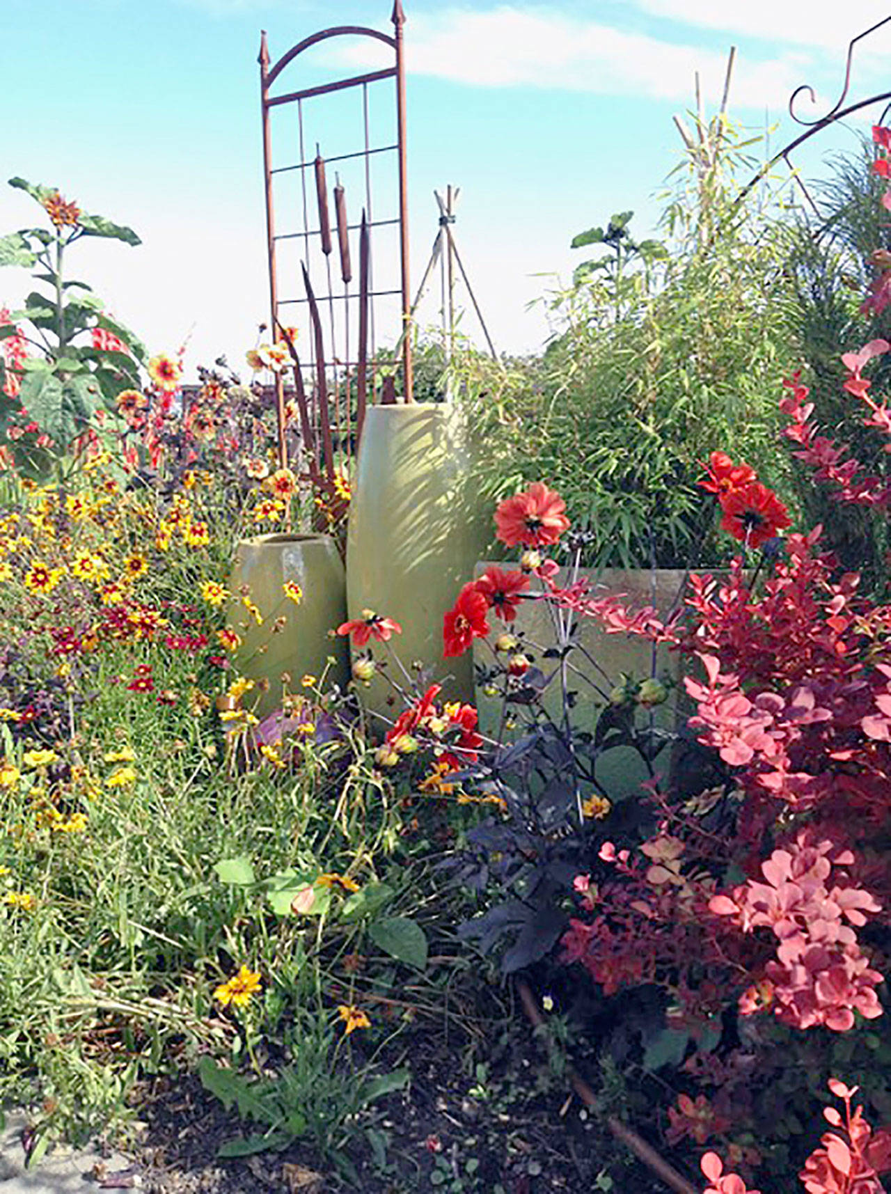 A small urban garden built around a pond is one of seven on the upcoming Secret Garden Tour.