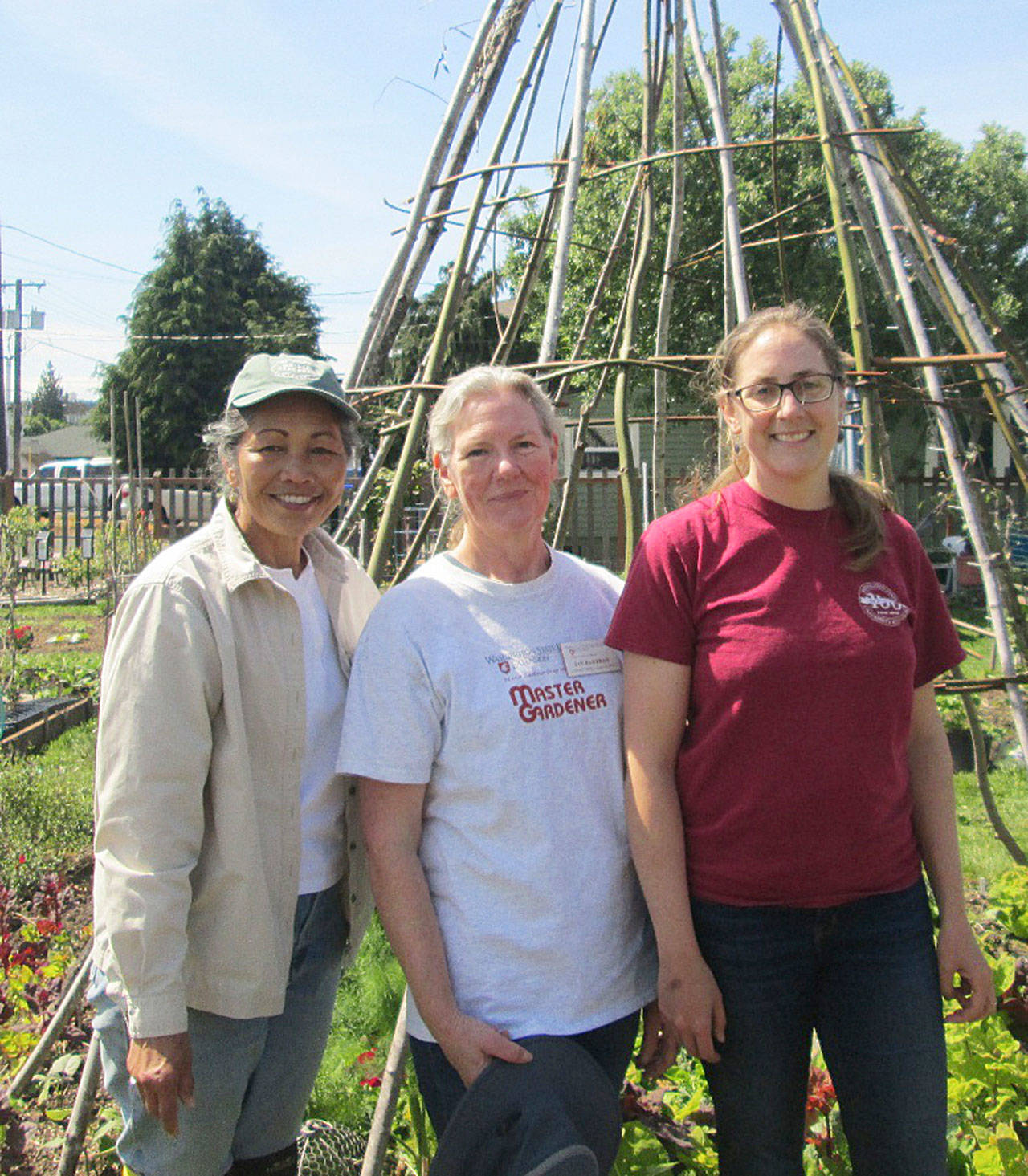 Veteran Master Gardeners, from left, Audreen Williams, Jan Bartron and Laurel Moulton will share vegetable gardening information Saturday at the Fifth Street Second Saturday Garden Walk in Port Angeles.